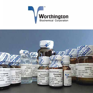 Worthington Trypsin, Purified, Sequencing Grade II LS02115