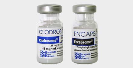 Encapsula Standard Macrophage Depletion Kit (Clodrosome + Encapsome) CLD-8901-10ml