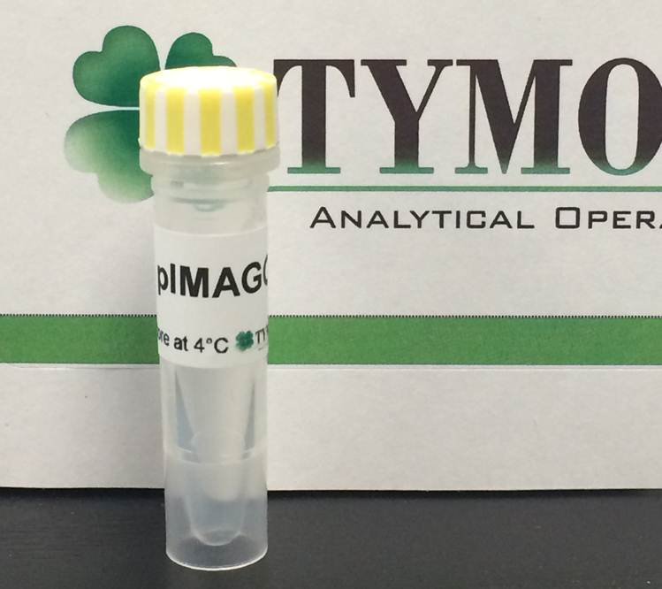 Tymora pIMAGO HRP Phosphoprotein Detection on Western Blot (complete kit) - 40 mini-blots 800-40